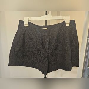 Loft Black Lace Eyelet Shorts